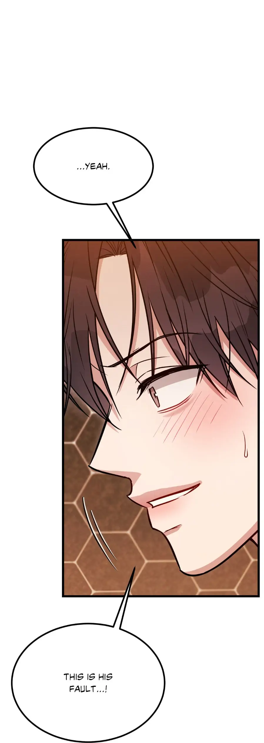 Placebo - Side Story 8 manhwa