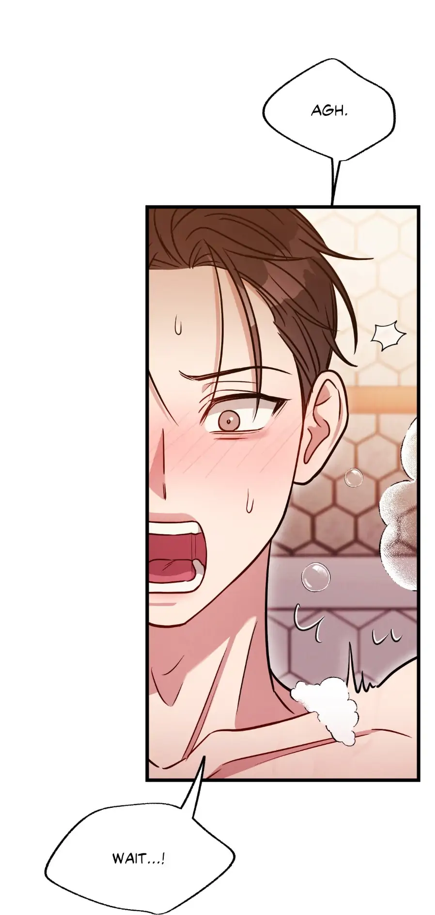 Placebo - Side Story 8 manhwa