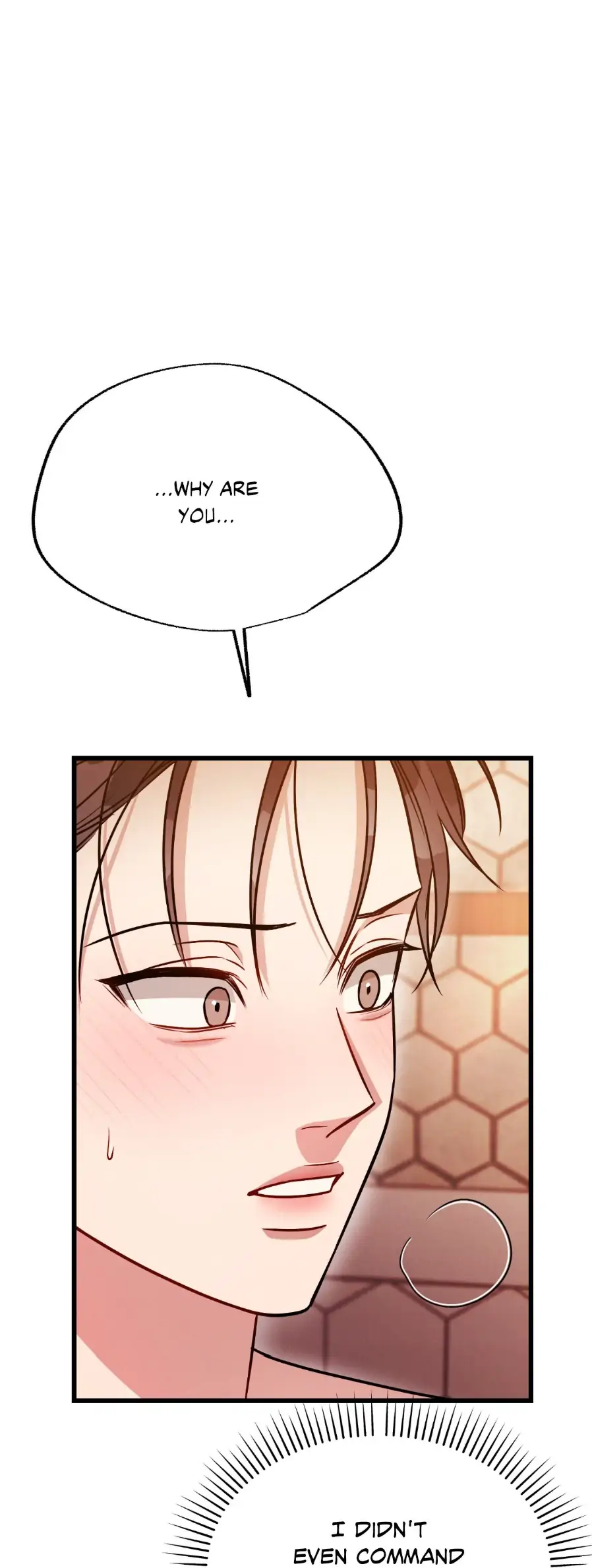 Placebo - Side Story 8 manhwa