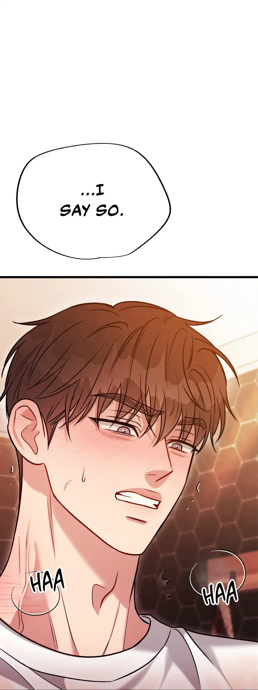 Placebo - Side Story 8 manhwa