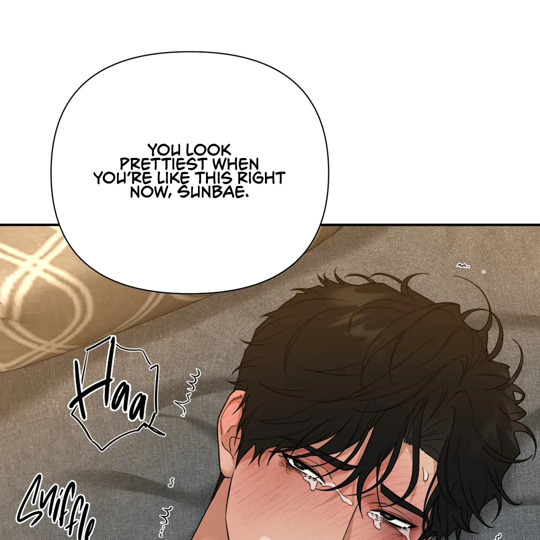 Risky Vice [Official] - Chapter 13.5 manhwa
