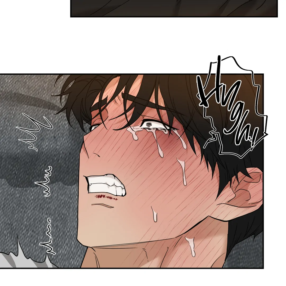 Risky Vice [Official] - Chapter 13.5 manhwa
