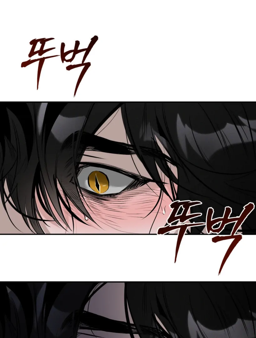 Shadow Under the Moon - Chapter 2 manhwa