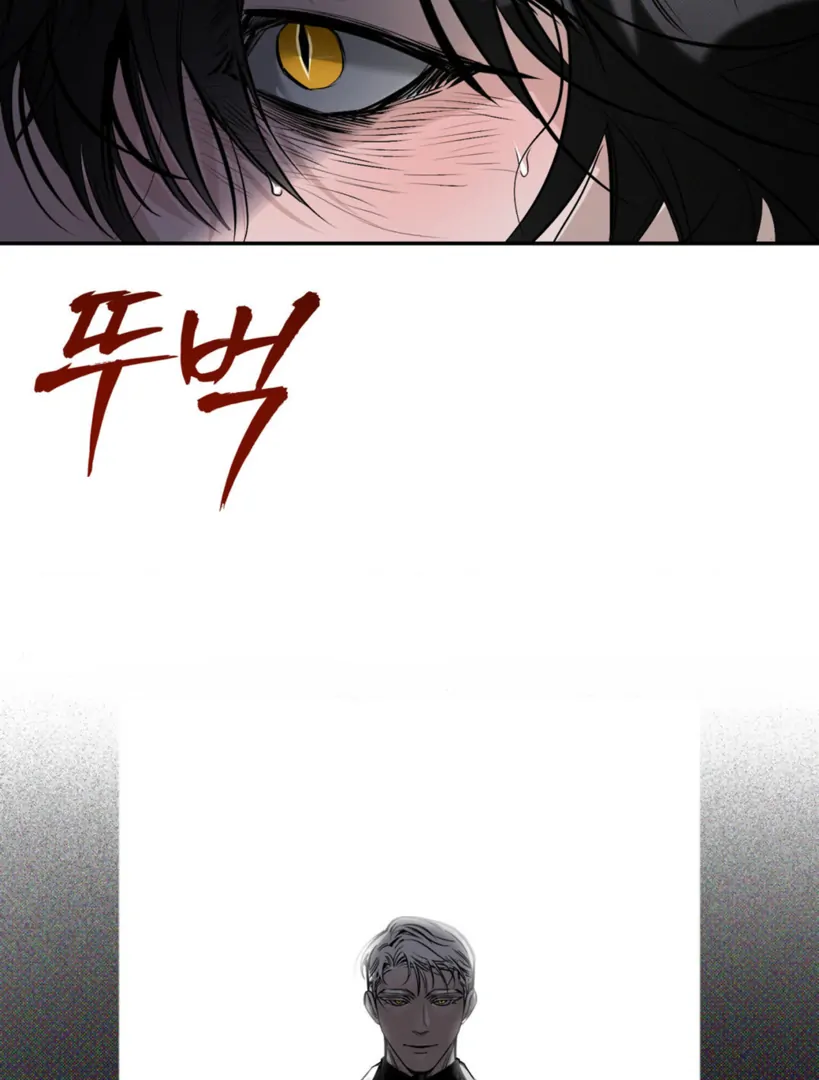 Shadow Under the Moon - Chapter 2 manhwa