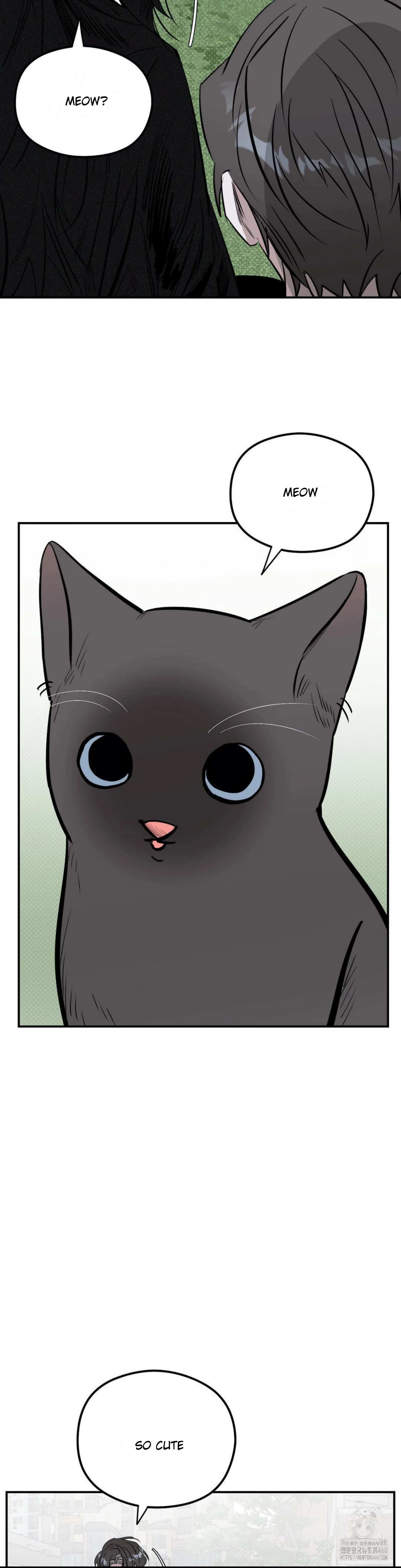 Shadow Under the Moon - Chapter 9 manhwa