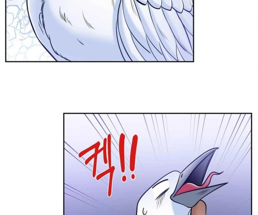 The Duke’s Baby Fever - Chapter 61 manhwa