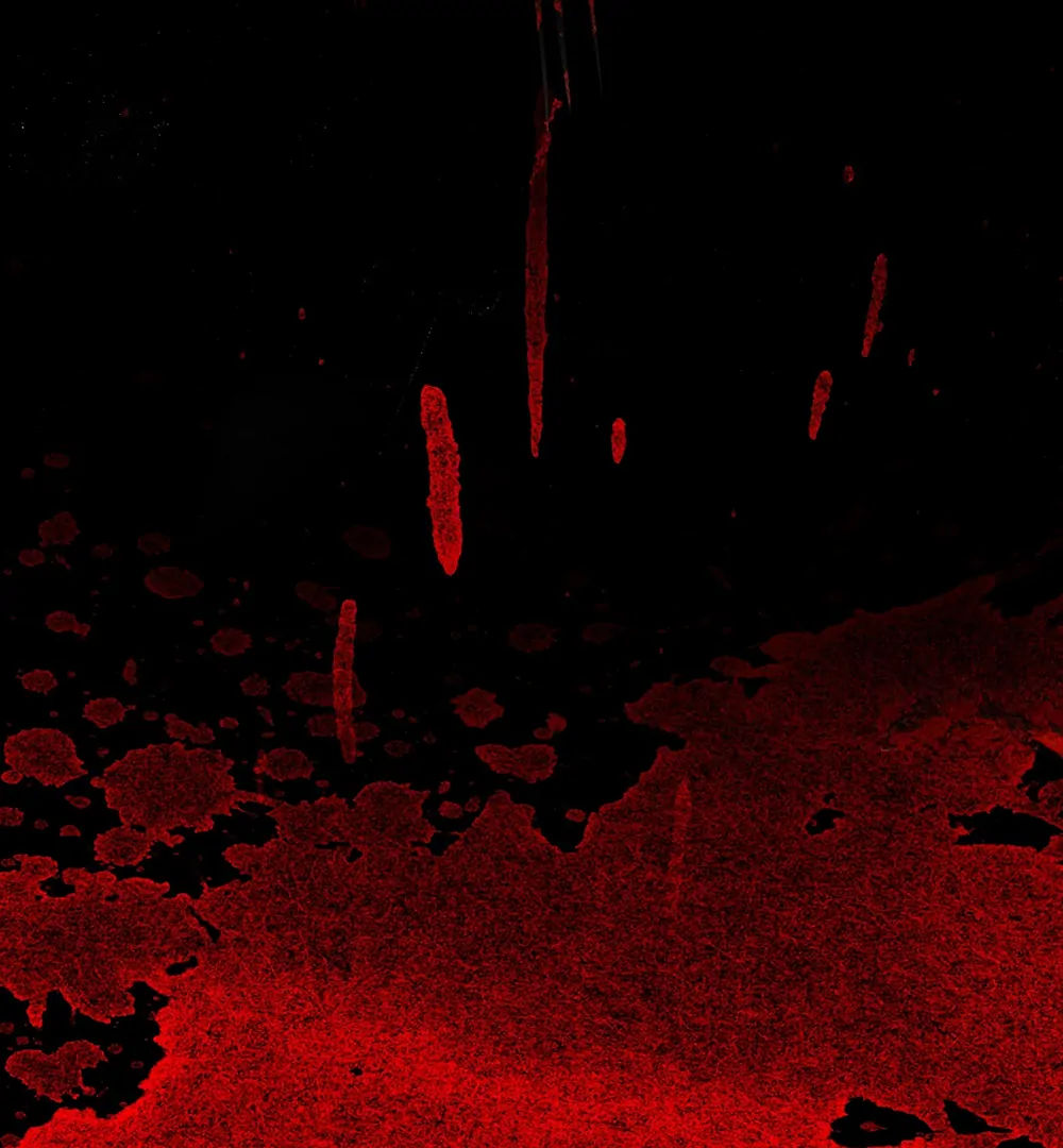 Evil Baby (LILITH) - Chapter 26 manhwa