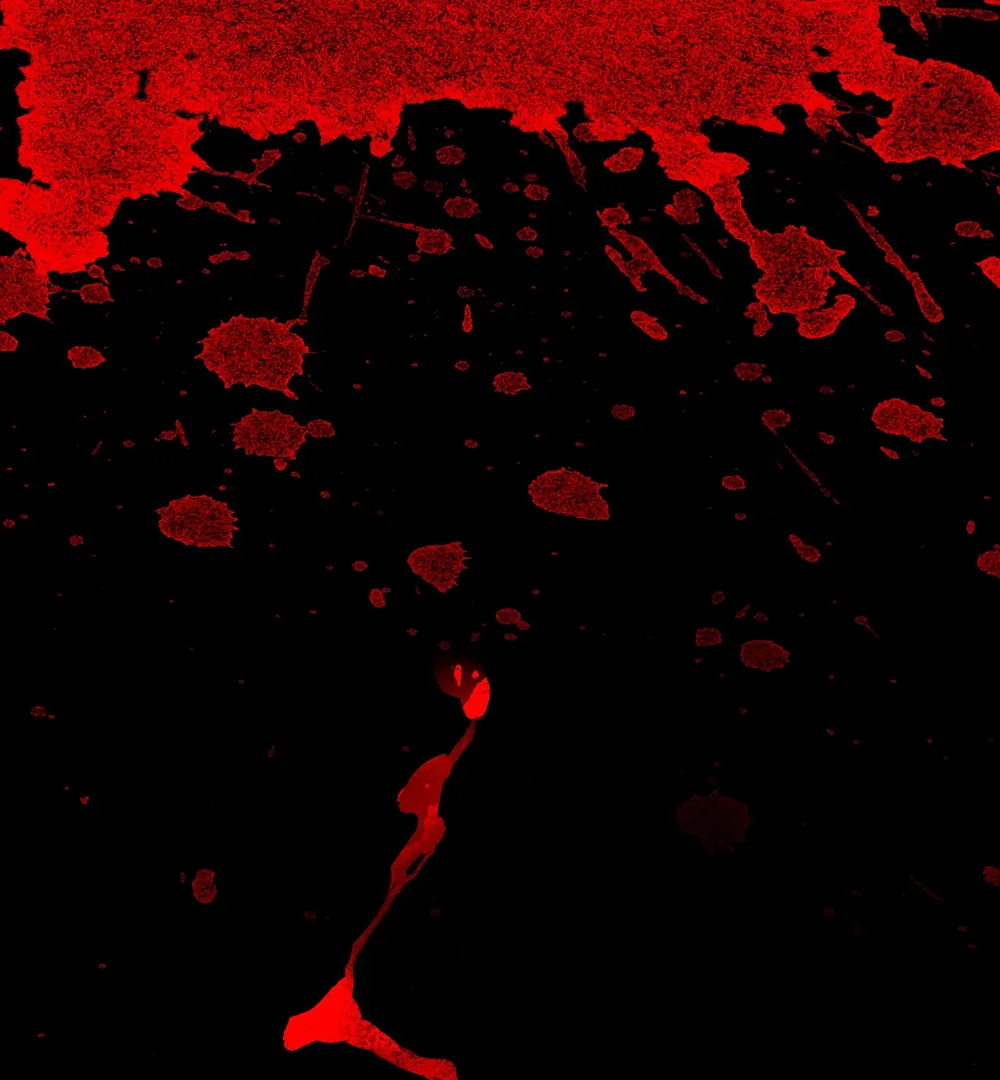Evil Baby (LILITH) - Chapter 26 manhwa