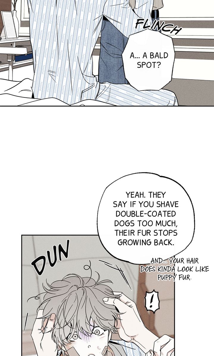 The Pizza Delivery Man and the Gold Palace 〘Official〙 - S3 Episode 70 manhwa