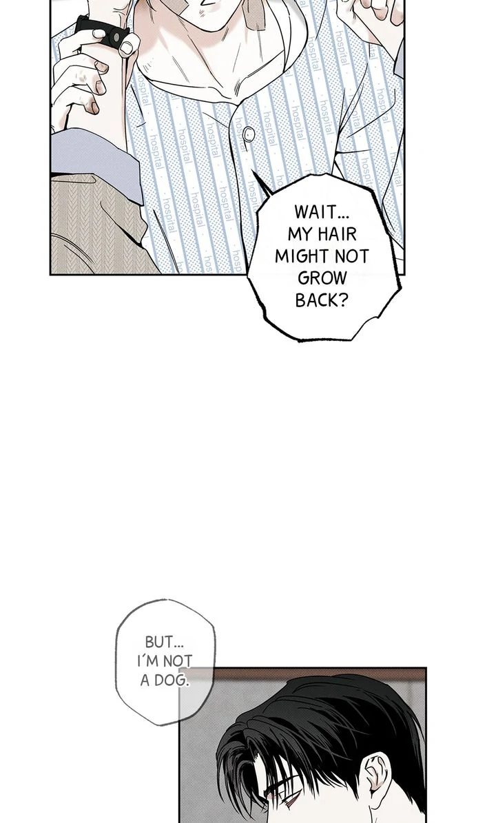 The Pizza Delivery Man and the Gold Palace 〘Official〙 - S3 Episode 71 manhwa