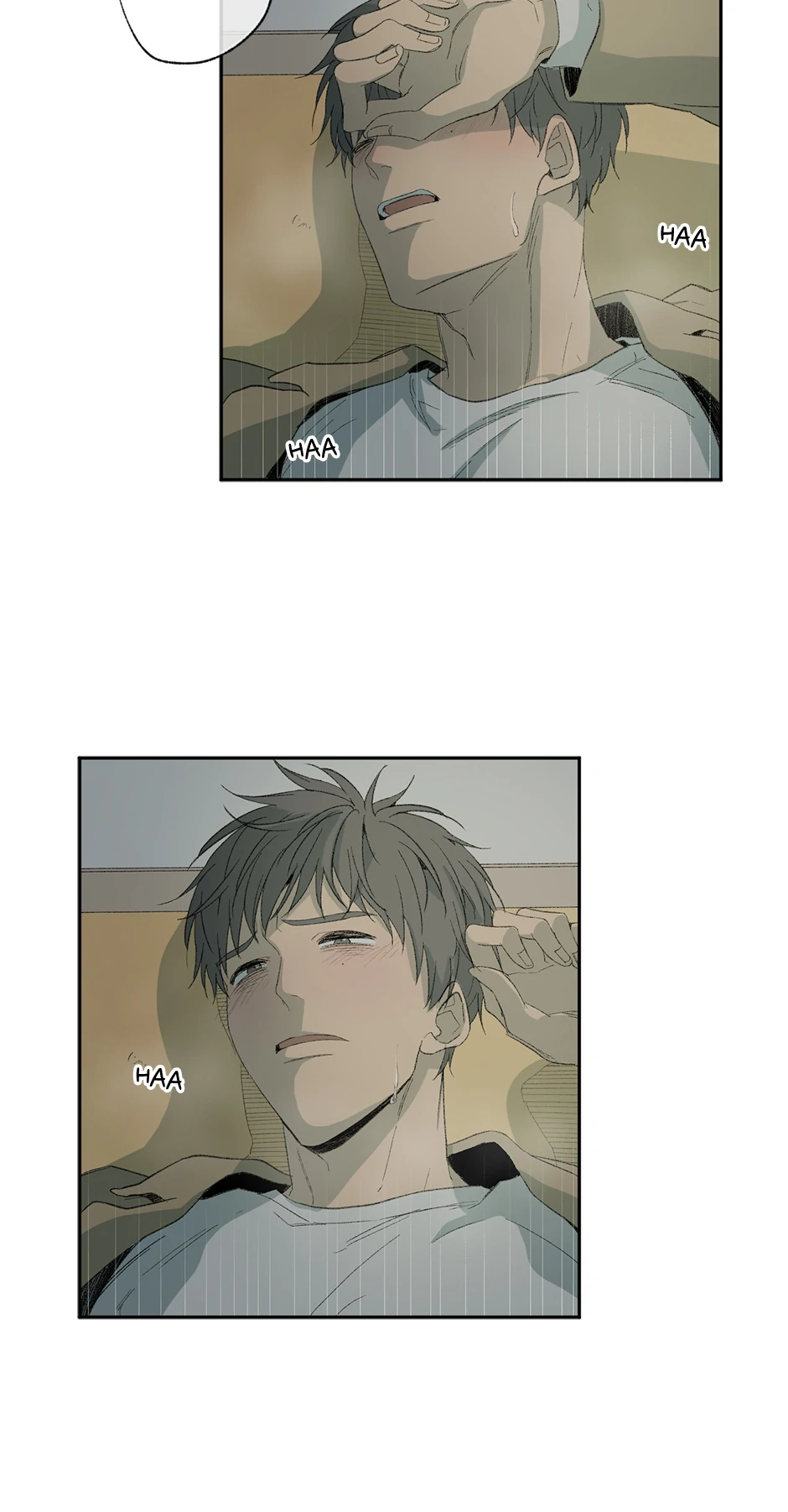 The Shape of Sympathy [Mature Official] - 15. Immorality manhwa