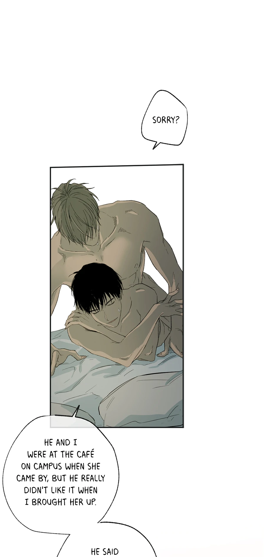 The Shape of Sympathy [Mature Official] - 16. Adopted manhwa