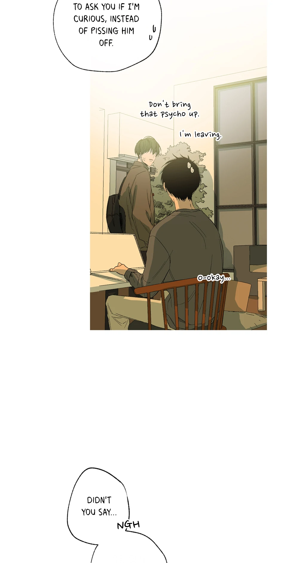The Shape of Sympathy [Mature Official] - 16. Adopted manhwa