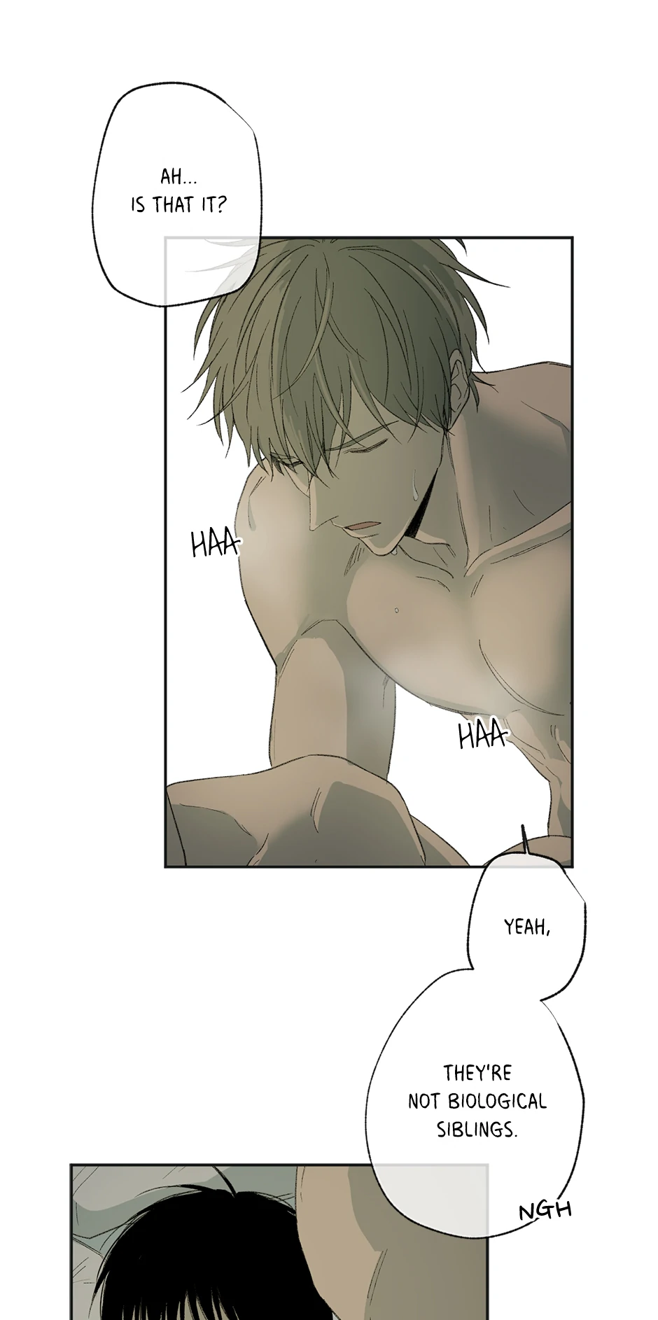 The Shape of Sympathy [Mature Official] - 16. Adopted manhwa