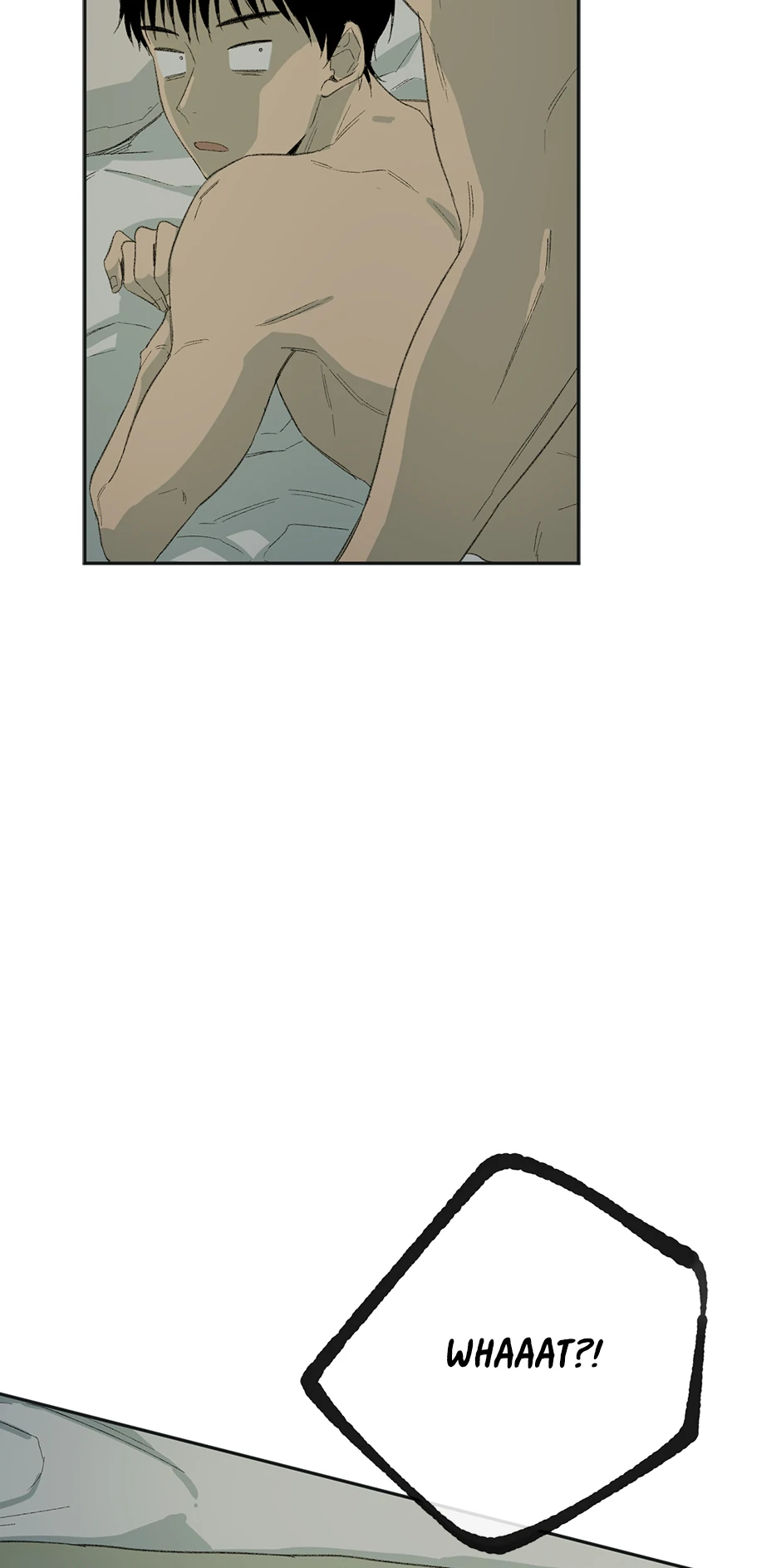 The Shape of Sympathy [Mature Official] - 16. Adopted manhwa