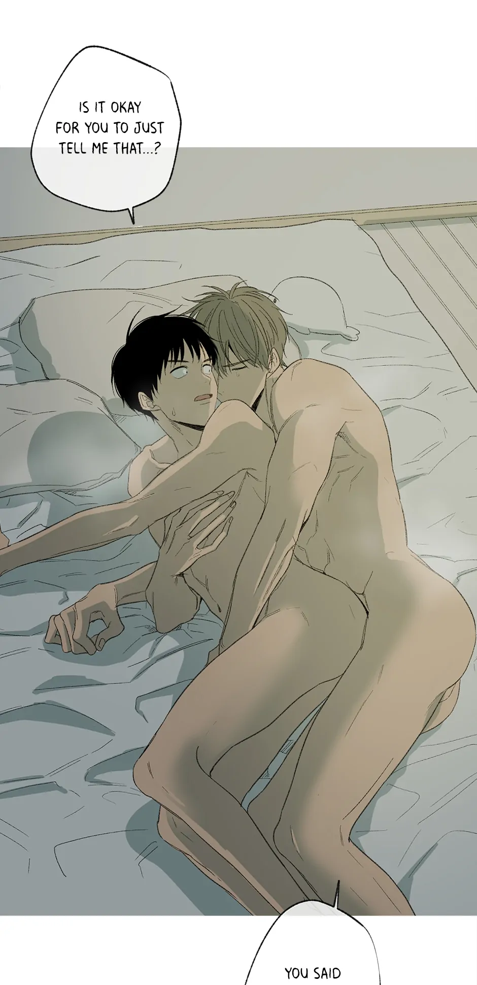The Shape of Sympathy [Mature Official] - 16. Adopted manhwa