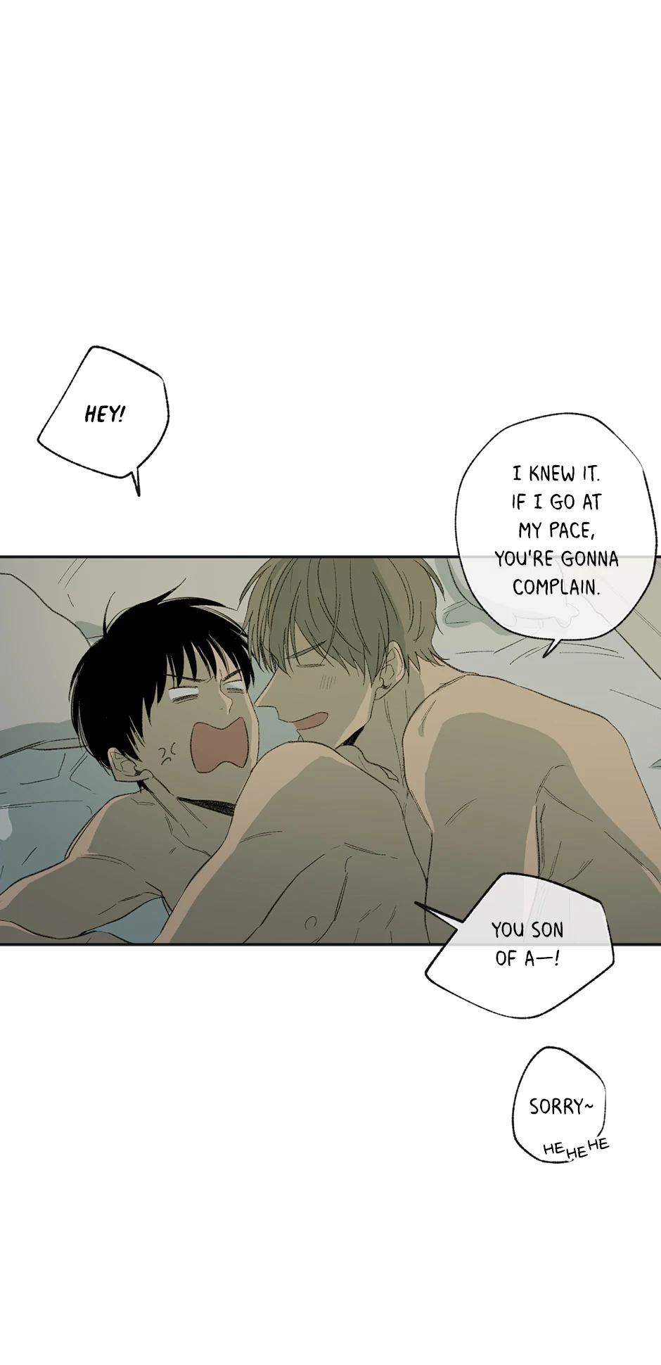 The Shape of Sympathy [Mature Official] - 16. Adopted manhwa