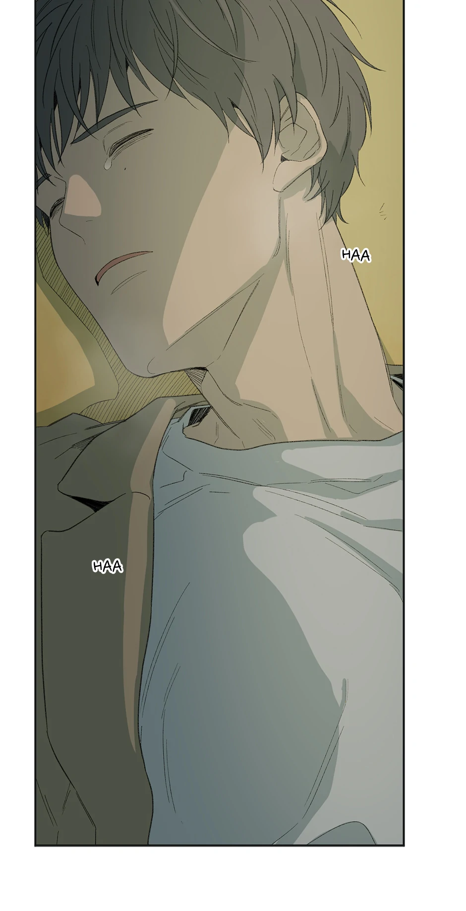 The Shape of Sympathy [Mature Official] - 16. Adopted manhwa