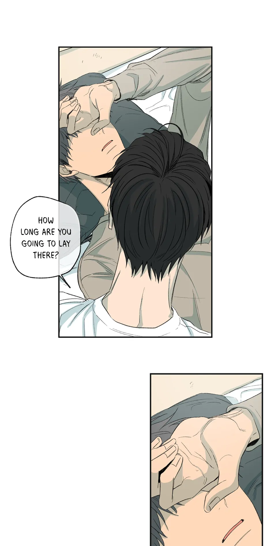 The Shape of Sympathy [Mature Official] - 38. Duplicitous 8 manhwa