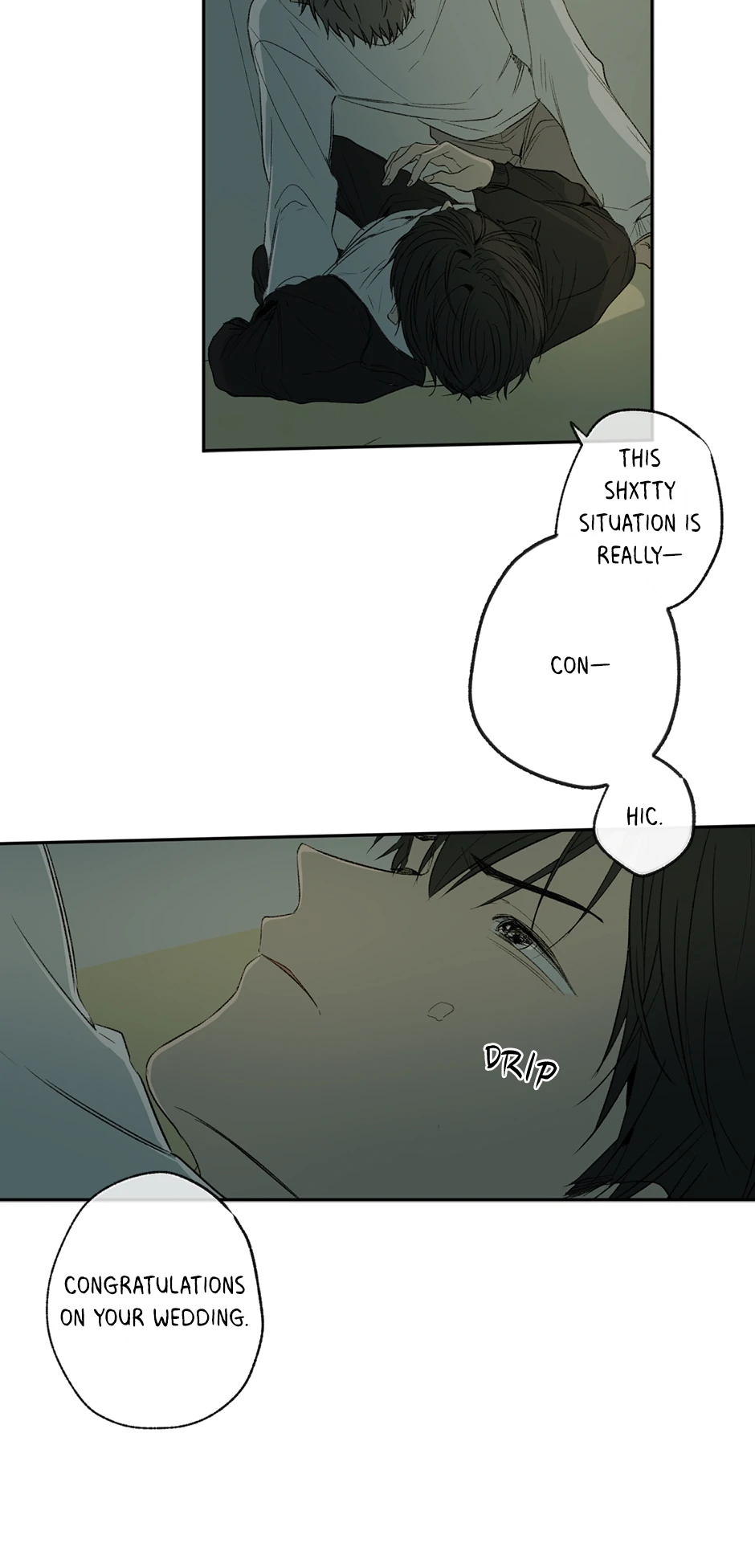 The Shape of Sympathy [Mature Official] - 4. Congratulations manhwa