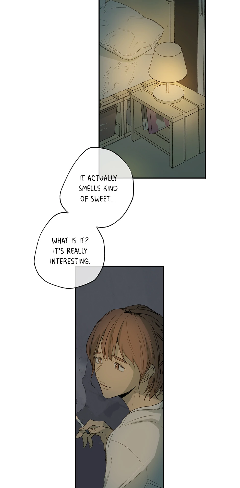 The Shape of Sympathy [Mature Official] - 4. Congratulations manhwa