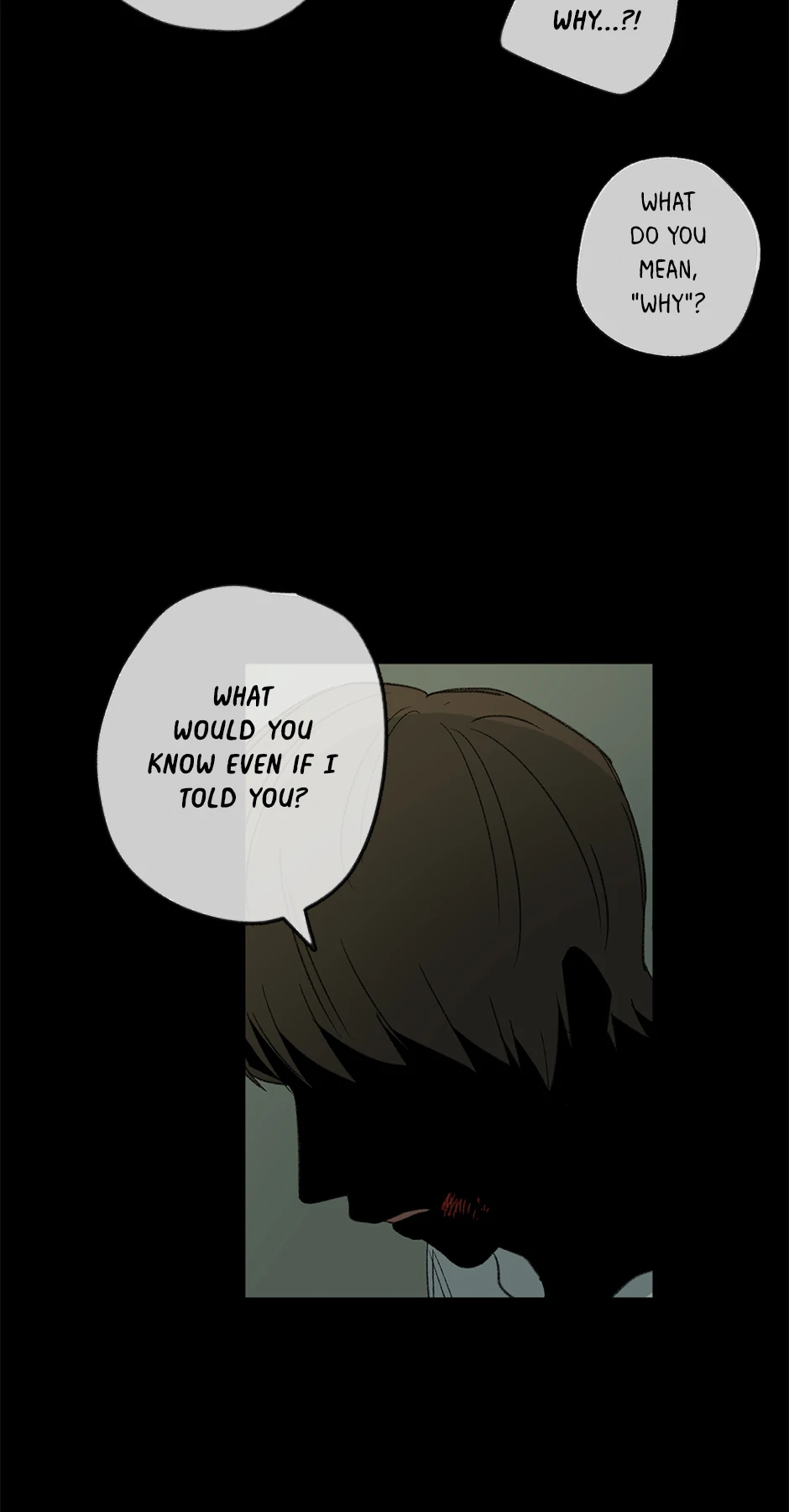 The Shape of Sympathy [Mature Official] - 47. Duplicitous 17 manhwa
