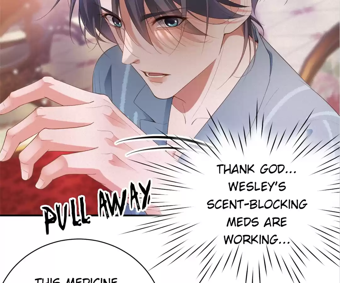 Love After the Break [Official] - Chapter 51 manhwa