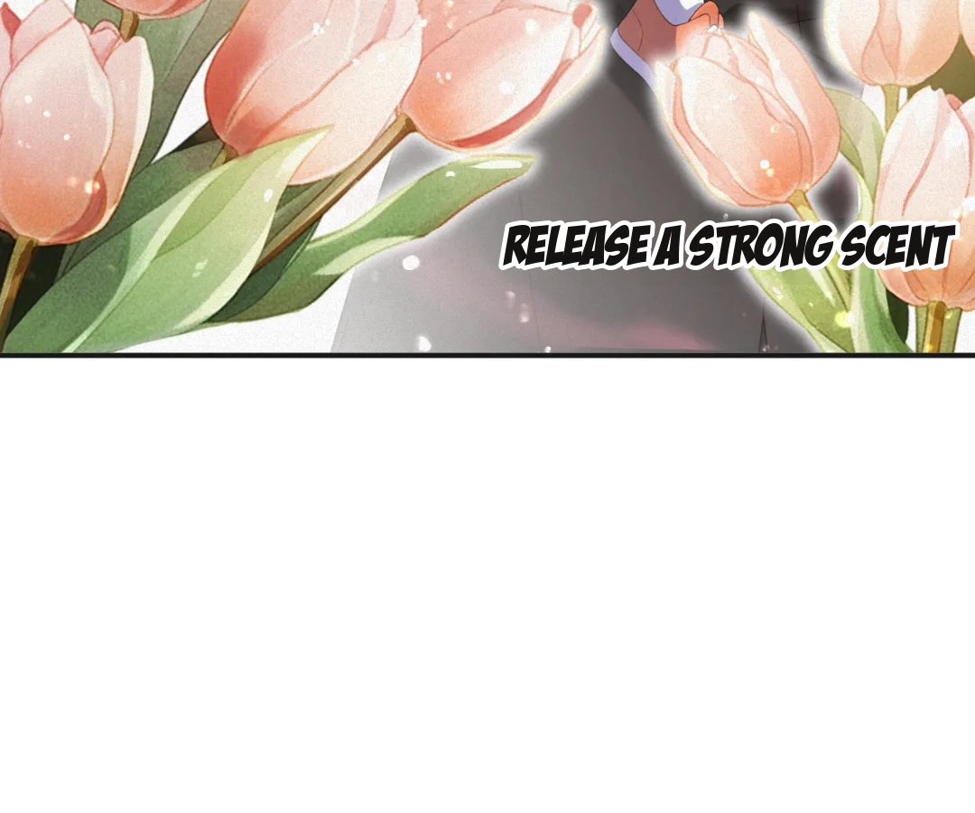 Love After the Break [Official] - Chapter 63 manhwa