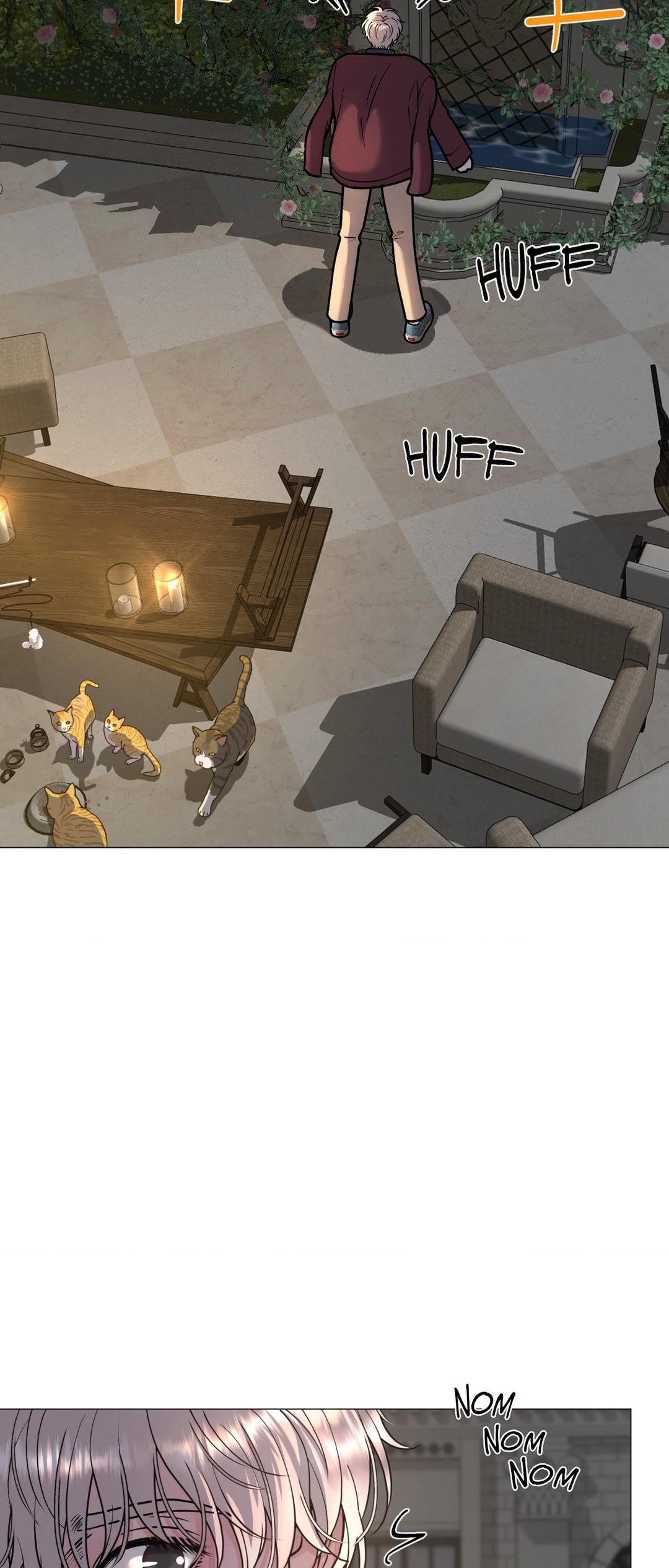 Illusion [Official] - Chapter 8 manhwa