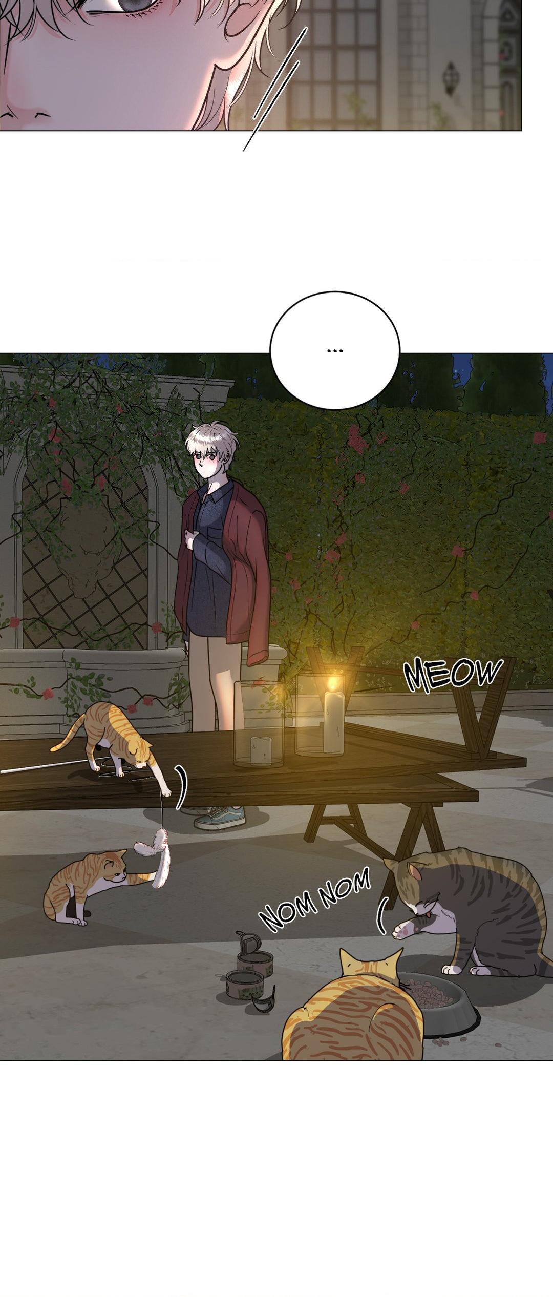 Illusion [Official] - Chapter 8 manhwa