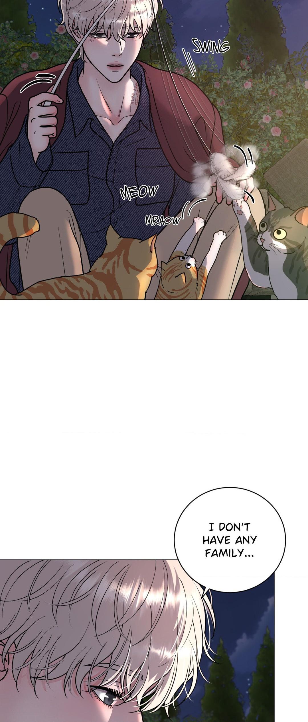 Illusion [Official] - Chapter 8 manhwa
