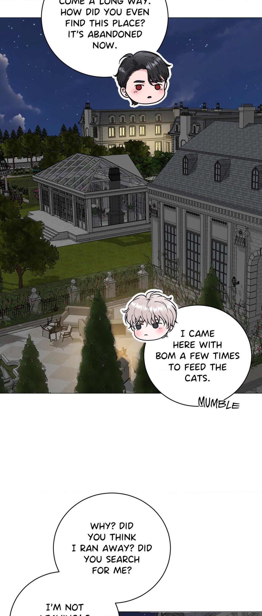 Illusion [Official] - Chapter 8 manhwa
