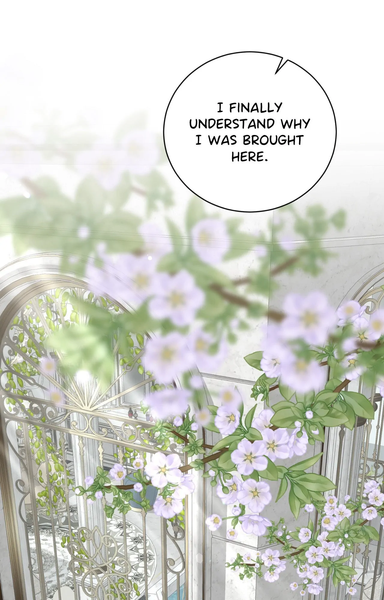 Illusion [Official] - Special Episode (3) manhwa