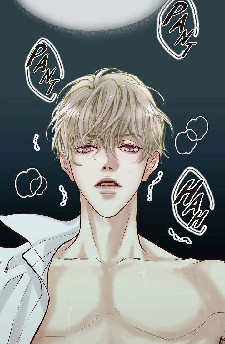 The Bride of Darkness [Official] - Chapter 1 manhwa