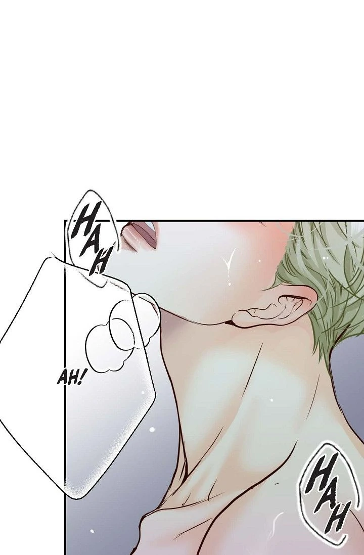 The Bride of Darkness [Official] - Chapter 11 manhwa