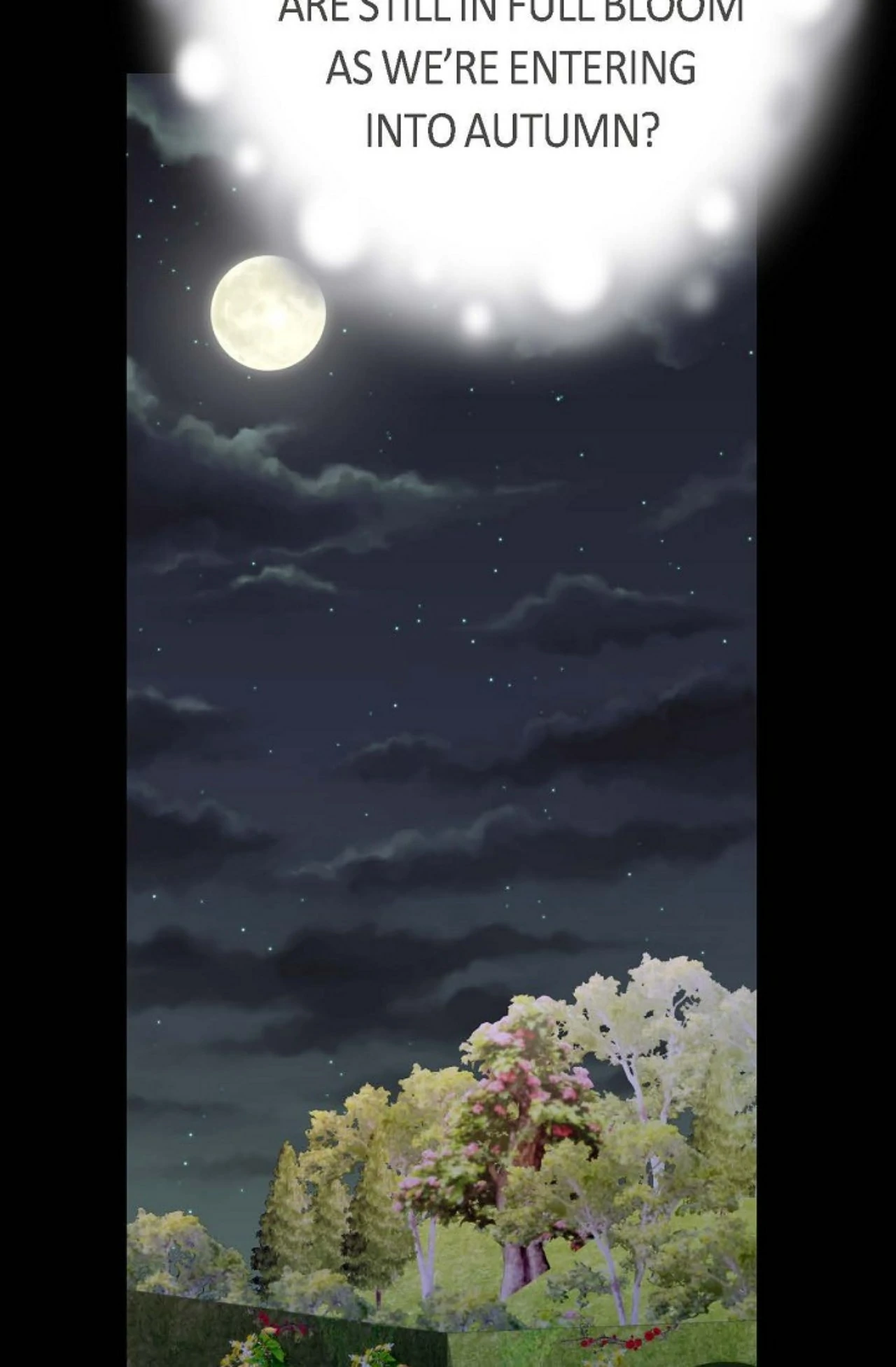 The Bride of Darkness [Official] - Chapter 24 manhwa