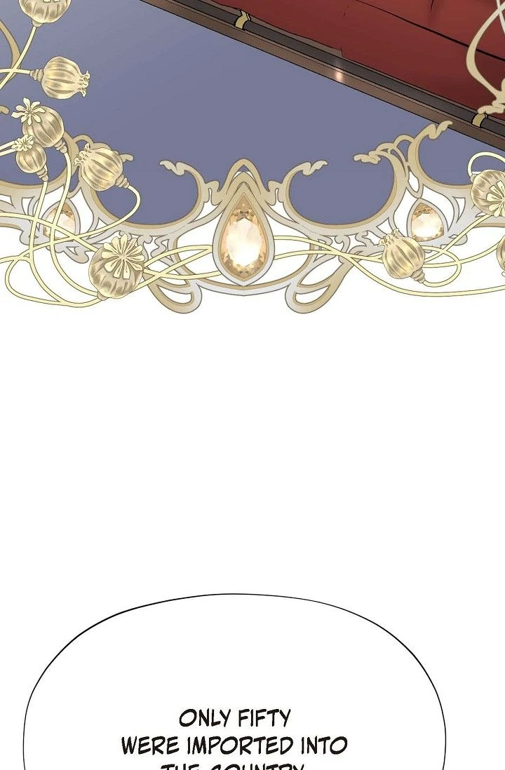 The Bride of Darkness [Official] - Chapter 4 manhwa