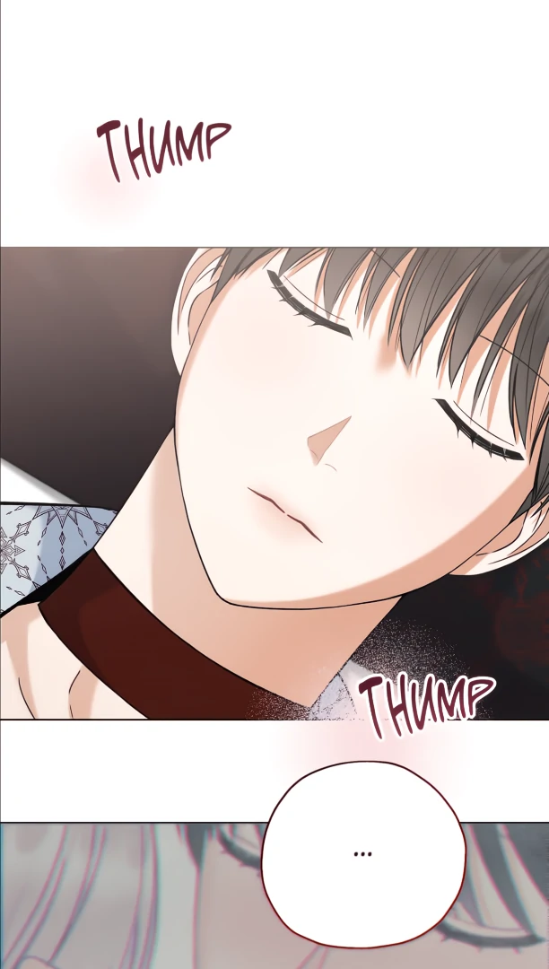 Do It for the Fans, Not Me! [Official] - Chapter 17 manhwa