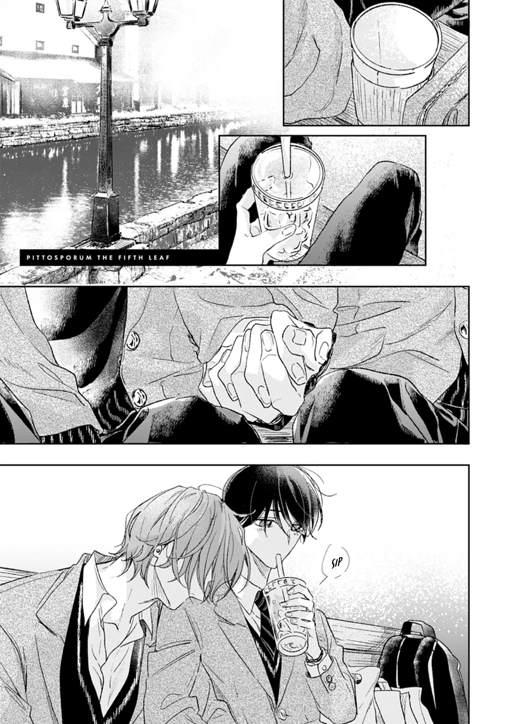 Pittosporum (Volumes 3,4,5) - Volume 5 Chapter 3 manhwa