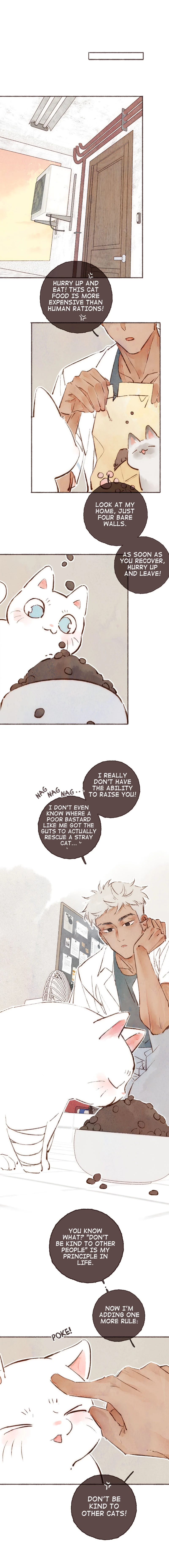Fortune Bringer’s School Life - Chapter 1 manhwa