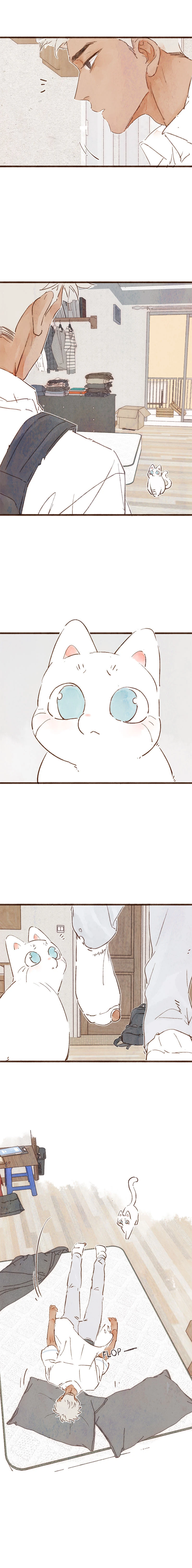 Fortune Bringer’s School Life - Chapter 10 manhwa