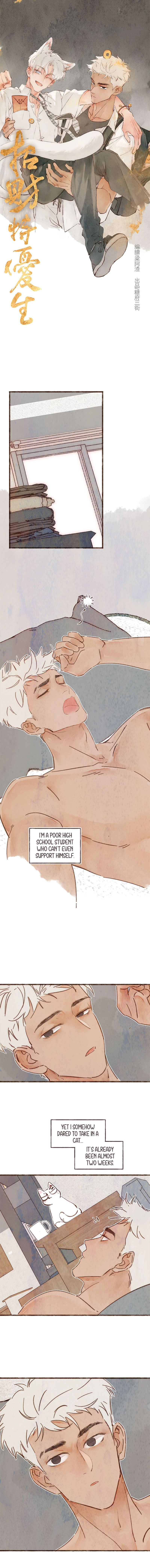 Fortune Bringer’s School Life - Chapter 13 manhwa