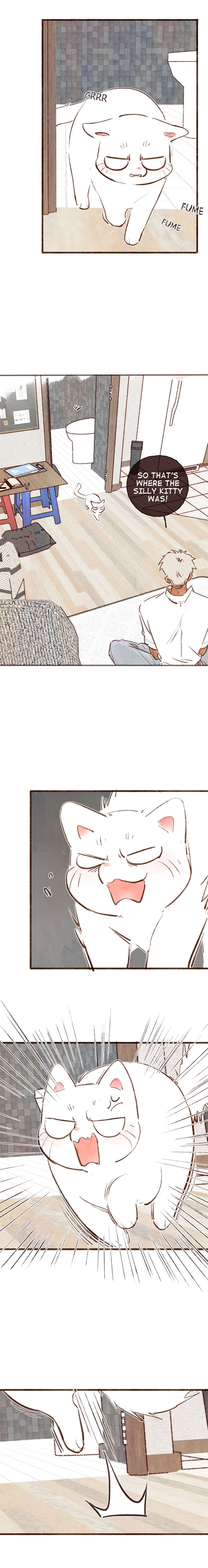 Fortune Bringer’s School Life - Chapter 15 manhwa
