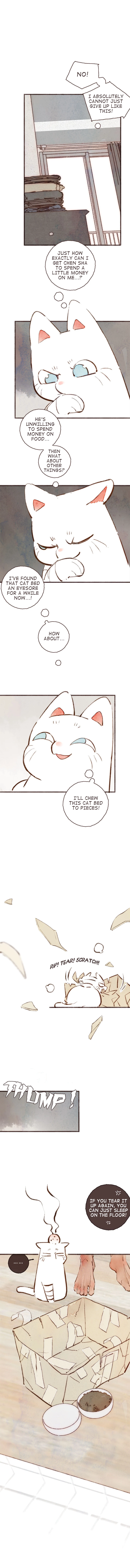 Fortune Bringer’s School Life - Chapter 4 manhwa