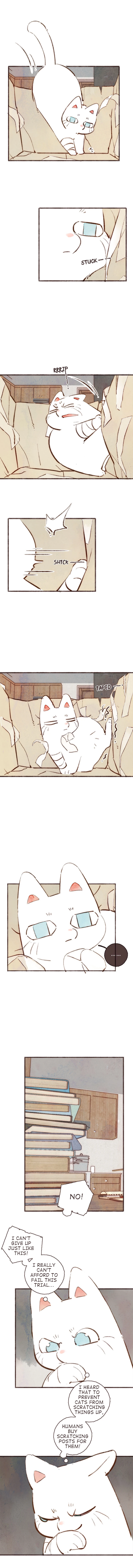 Fortune Bringer’s School Life - Chapter 4 manhwa