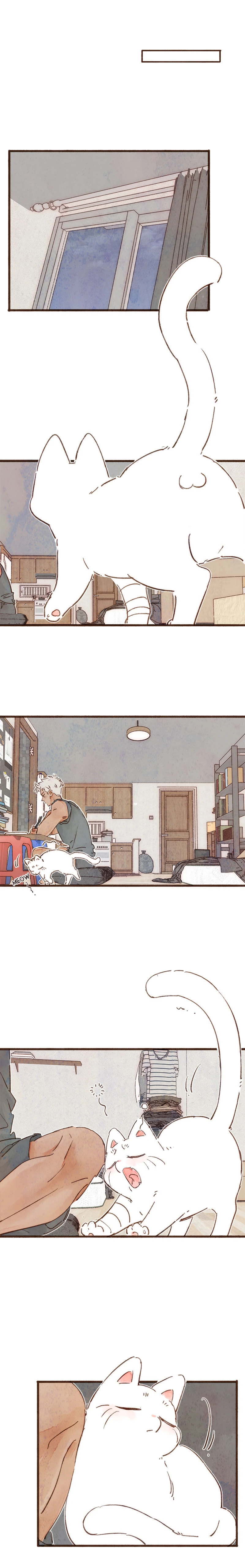 Fortune Bringer’s School Life - Chapter 6 manhwa
