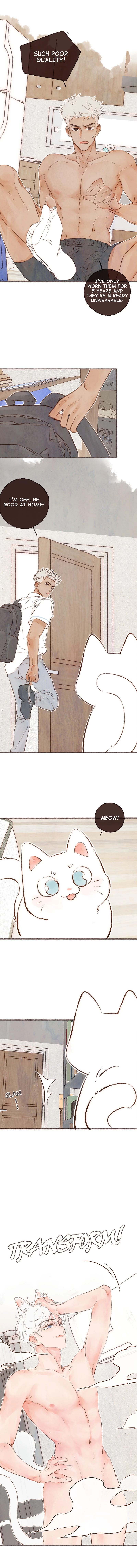Fortune Bringer’s School Life - Chapter 8 manhwa
