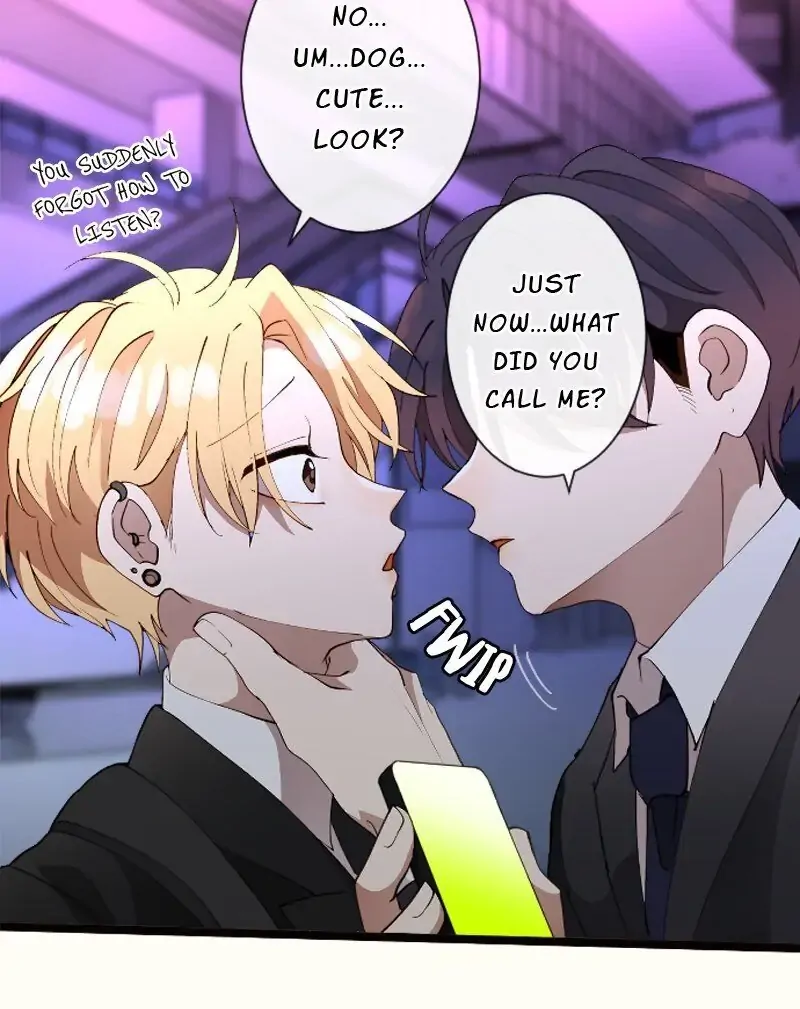 My Perverted Stalker [R18] - Chapter 42 manhwa