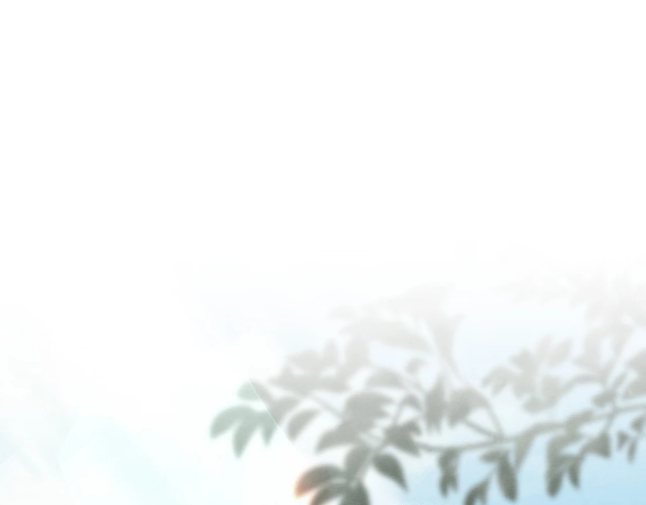 Becoming the King’s Concubine - Chapter 10 manhwa