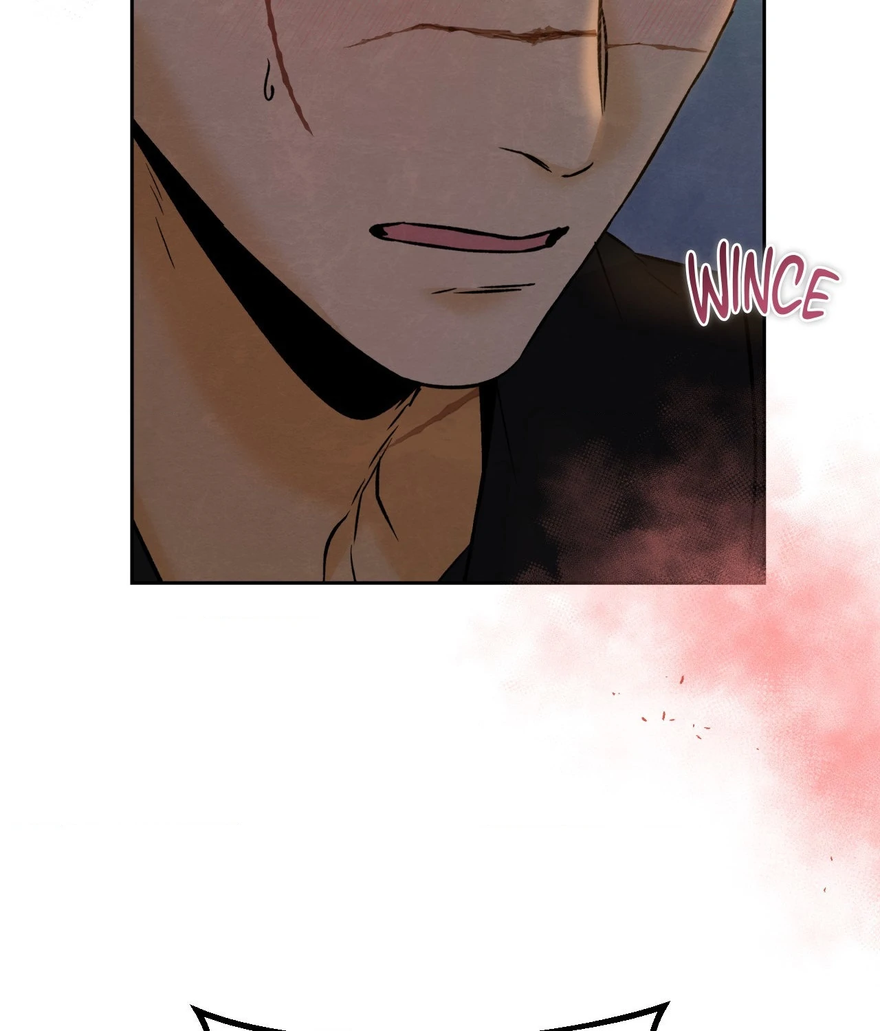 Becoming the King’s Concubine - Chapter 14 manhwa
